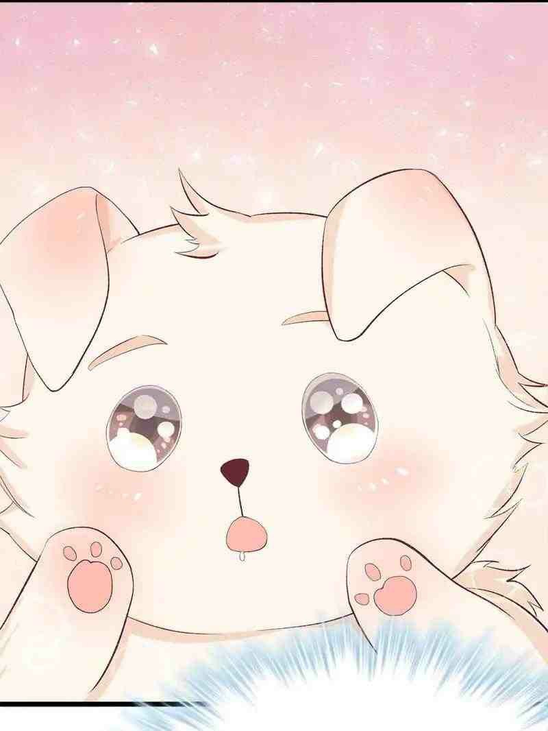 Beauty and the Beasts Chapter 71 Gambar 11